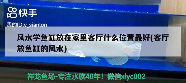 風(fēng)水學(xué)魚(yú)缸放在家里客廳什么位置最好(客廳放魚(yú)缸的風(fēng)水) 魚(yú)缸風(fēng)水