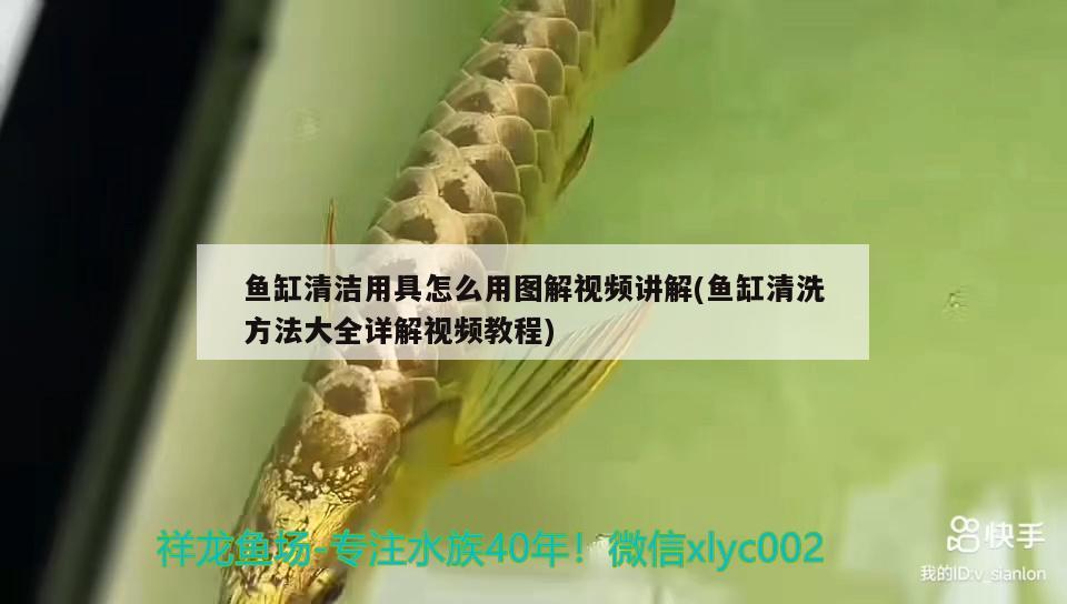 魚(yú)缸清潔用具怎么用圖解視頻講解(魚(yú)缸清洗方法大全詳解視頻教程) 黃金貓魚(yú)百科