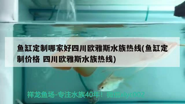 魚(yú)缸定制哪家好四川歐雅斯水族熱線(魚(yú)缸定制價(jià)格四川歐雅斯水族熱線) 祥龍水族醫(yī)院