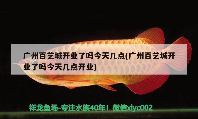 廣州百藝城開業(yè)了嗎今天幾點(廣州百藝城開業(yè)了嗎今天幾點開業(yè)) 帝王迷宮魚