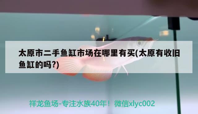 太原市二手魚缸市場在哪里有買(太原有收舊魚缸的嗎？) 金龍魚糧