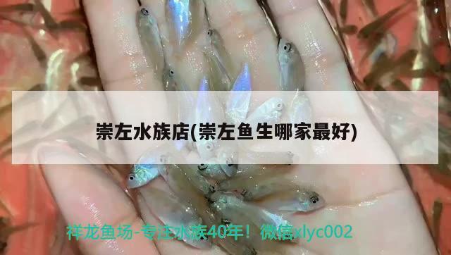 崇左水族店(崇左魚生哪家最好) 照明器材