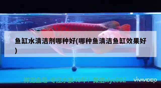 魚缸水清潔劑哪種好(哪種魚清潔魚缸效果好) 魚缸等水族設(shè)備