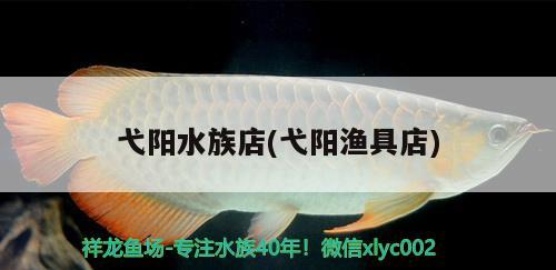 弋陽水族店(弋陽漁具店) 水族品牌