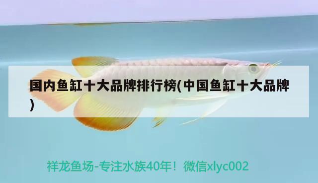 國內(nèi)魚缸十大品牌排行榜(中國魚缸十大品牌)