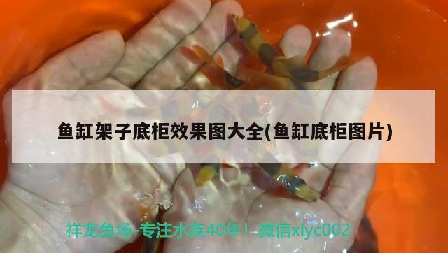 魚缸架子底柜效果圖大全(魚缸底柜圖片) 定時器/自控系統(tǒng)