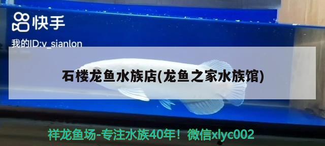 石樓龍魚水族店(龍魚之家水族館) 龍魚之家