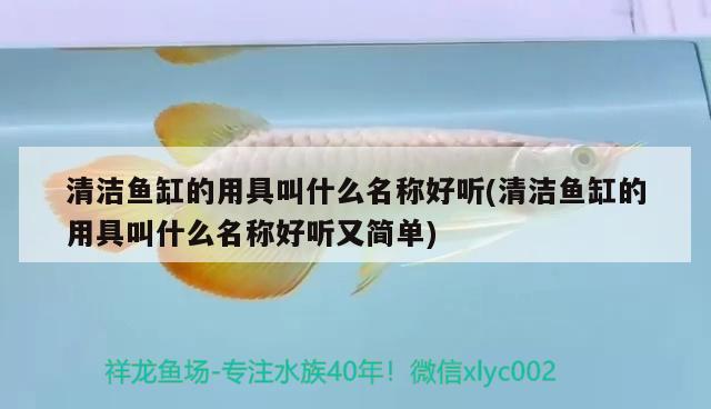 清潔魚缸的用具叫什么名稱好聽(清潔魚缸的用具叫什么名稱好聽又簡單) 魚缸水質(zhì)穩(wěn)定劑