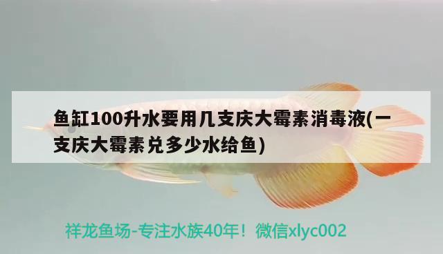 魚缸100升水要用幾支慶大霉素消毒液(一支慶大霉素兌多少水給魚) 委內(nèi)瑞拉奧里諾三間魚