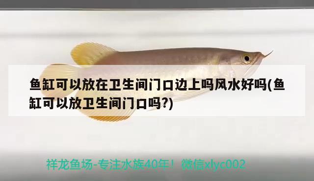 魚缸可以放在衛(wèi)生間門口邊上嗎風(fēng)水好嗎(魚缸可以放衛(wèi)生間門口嗎?) 魚缸風(fēng)水