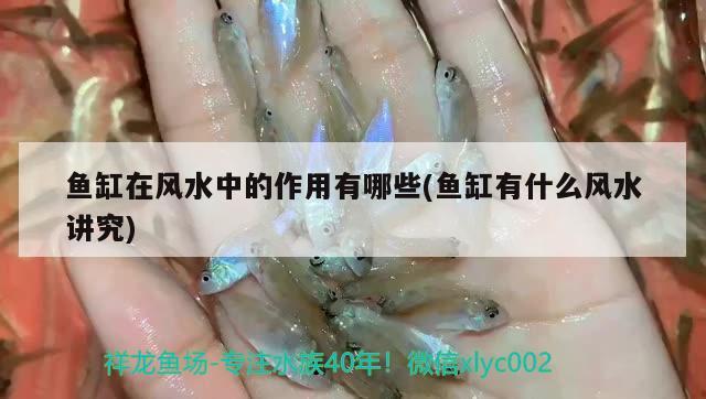 魚缸在風水中的作用有哪些(魚缸有什么風水講究) 魚缸風水