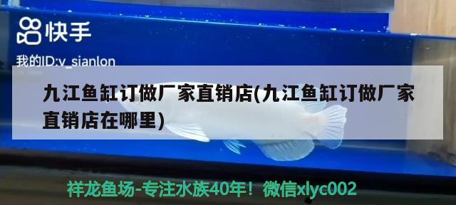 九江魚缸訂做廠家直銷店(九江魚缸訂做廠家直銷店在哪里) 元寶鯽