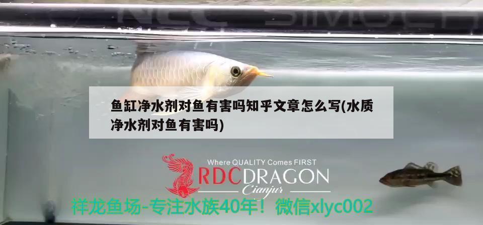 魚缸凈水劑對魚有害嗎知乎文章怎么寫(水質(zhì)凈水劑對魚有害嗎) 朱巴利魚