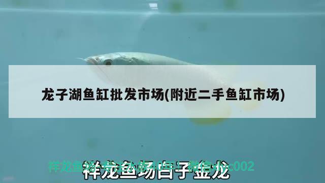 龍子湖魚(yú)缸批發(fā)市場(chǎng)(附近二手魚(yú)缸市場(chǎng)) 印尼虎苗