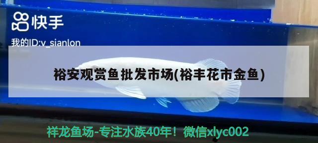 裕安觀賞魚(yú)批發(fā)市場(chǎng)(裕豐花市金魚(yú)) 觀賞魚(yú)批發(fā)