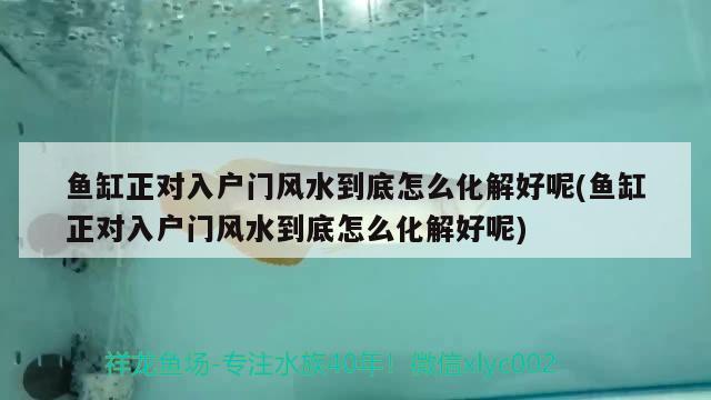 魚缸正對入戶門風水到底怎么化解好呢(魚缸正對入戶門風水到底怎么化解好呢) 魚缸風水