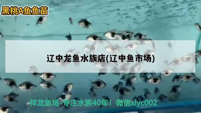 遼中龍魚水族店(遼中魚市場(chǎng)) 鸚鵡魚