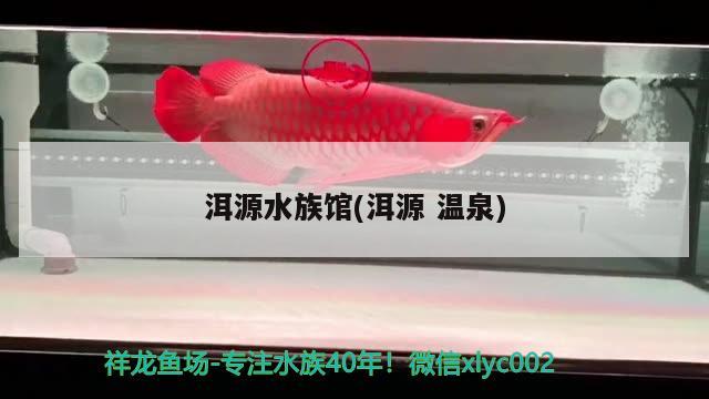 洱源水族館(洱源溫泉) 元寶鳳凰魚專用魚糧