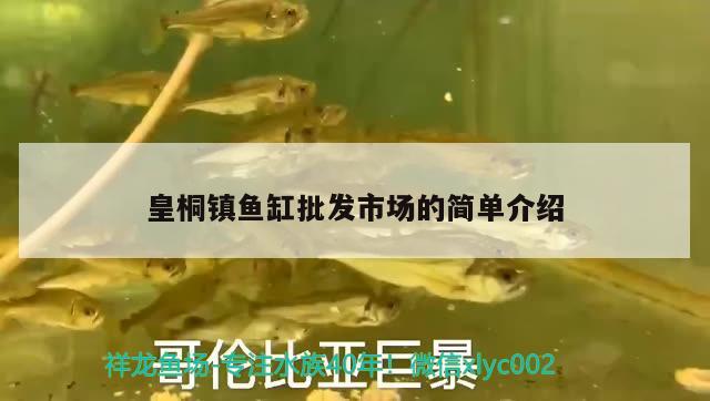 皇桐鎮(zhèn)魚(yú)缸批發(fā)市場(chǎng)的簡(jiǎn)單介紹 眼斑魚(yú)