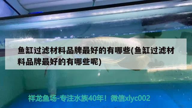 魚(yú)缸過(guò)濾材料品牌最好的有哪些(魚(yú)缸過(guò)濾材料品牌最好的有哪些呢) 薩伊藍(lán)魚(yú)