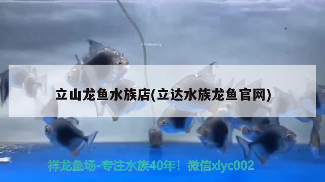 立山龍魚水族店(立達水族龍魚官網(wǎng)) 雙線側(cè)魚