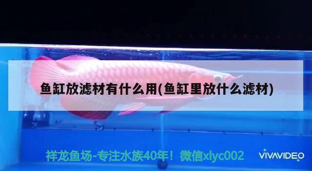 魚缸放濾材有什么用(魚缸里放什么濾材)