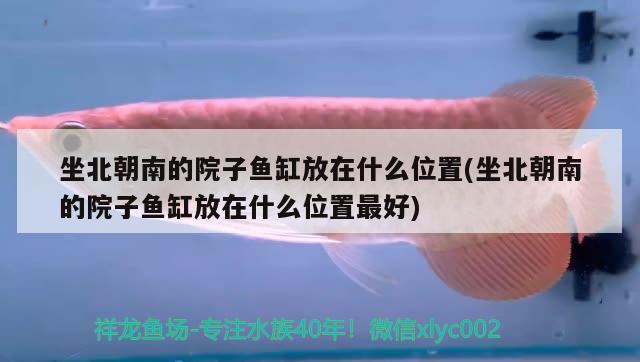 坐北朝南的院子魚缸放在什么位置(坐北朝南的院子魚缸放在什么位置最好) 泰龐海鰱魚