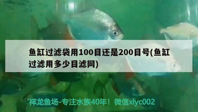 魚缸過濾袋用100目還是200目號(魚缸過濾用多少目濾網(wǎng))