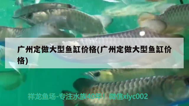 廣州定做大型魚缸價格(廣州定做大型魚缸價格)