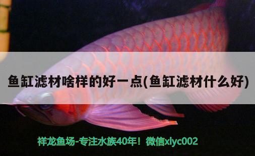 魚缸濾材啥樣的好一點(diǎn)(魚缸濾材什么好)