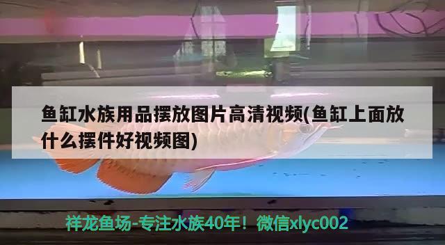 魚缸水族用品擺放圖片高清視頻(魚缸上面放什么擺件好視頻圖) 水族用品