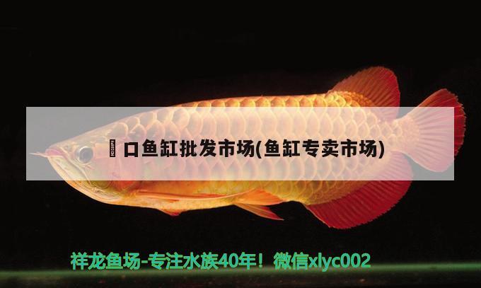 硚口魚缸批發(fā)市場(魚缸專賣市場) 祥龍水族護(hù)理水