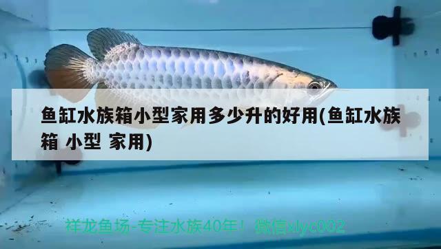 魚(yú)缸水族箱小型家用多少升的好用(魚(yú)缸水族箱小型家用) 魚(yú)缸/水族箱