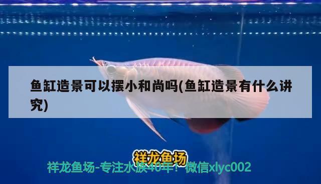 魚缸造景可以擺小和尚嗎(魚缸造景有什么講究) 觀賞魚魚苗