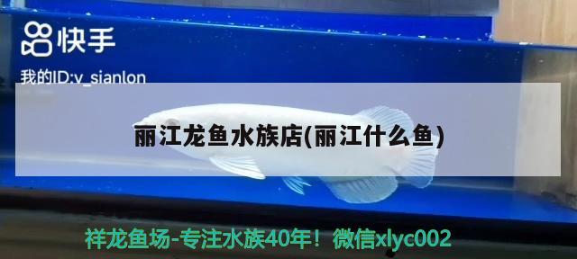 麗江龍魚(yú)水族店(麗江什么魚(yú)) 照明器材 第2張