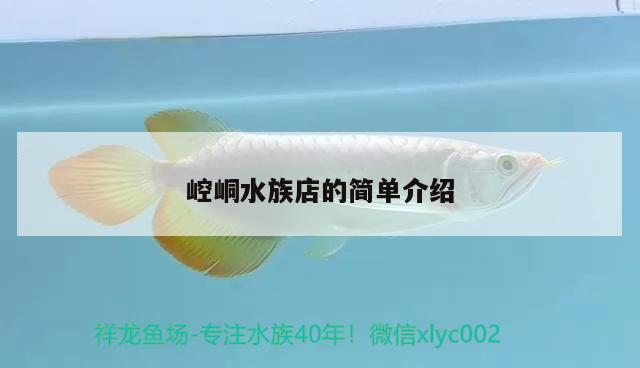 崆峒水族店的簡單介紹 肺魚