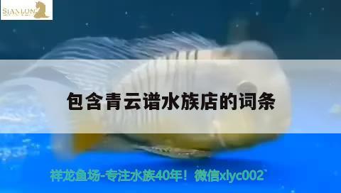 包含青云譜水族店的詞條