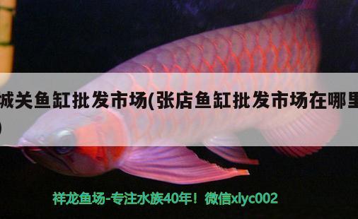 城關(guān)魚缸批發(fā)市場(張店魚缸批發(fā)市場在哪里)