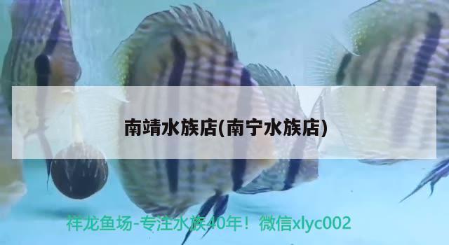 南靖水族店(南寧水族店) 撒旦鴨嘴魚