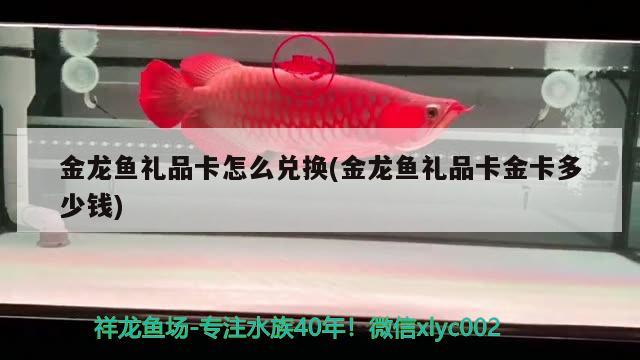 金龍魚禮品卡怎么兌換(金龍魚禮品卡金卡多少錢)