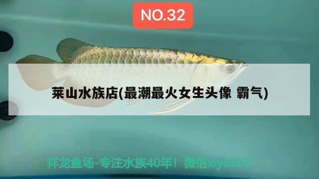 萊山水族店(最潮最火女生頭像霸氣) 過背金龍魚