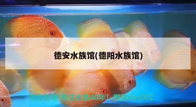 德安水族館(德陽(yáng)水族館)