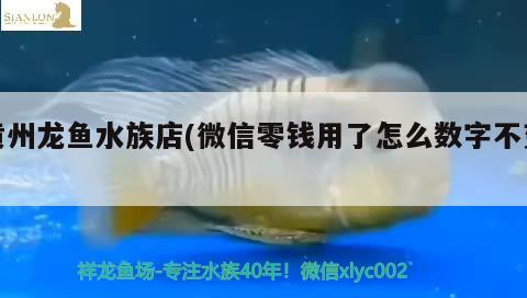 黃州龍魚水族店(微信零錢用了怎么數(shù)字不變) 斑馬鴨嘴魚