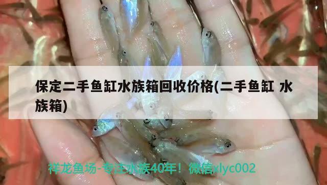 保定二手魚缸水族箱回收價格(二手魚缸水族箱) 魚缸/水族箱