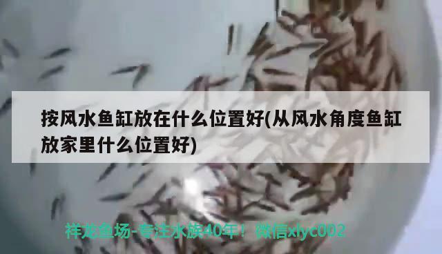 按風水魚缸放在什么位置好(從風水角度魚缸放家里什么位置好)