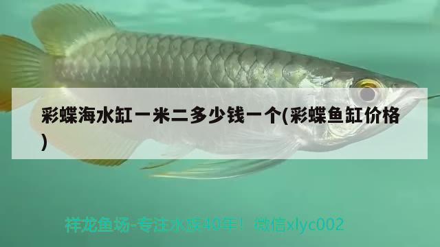 彩蝶海水缸一米二多少錢一個(彩蝶魚缸價格) 熊貓異形魚L46