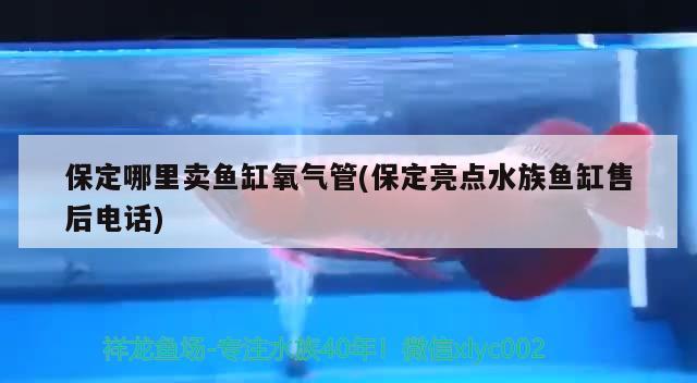 保定哪里賣魚(yú)缸氧氣管(保定亮點(diǎn)水族魚(yú)缸售后電話)