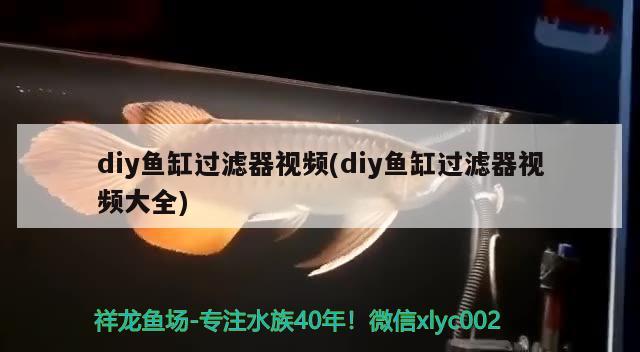 diy魚缸過濾器視頻(diy魚缸過濾器視頻大全) 和尚魚