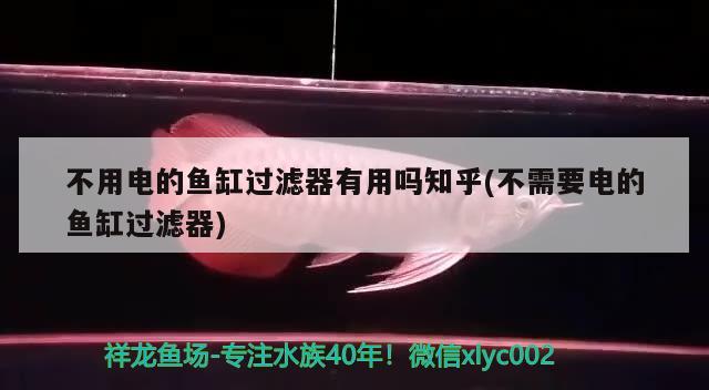 不用電的魚缸過濾器有用嗎知乎(不需要電的魚缸過濾器) 養(yǎng)魚的好處