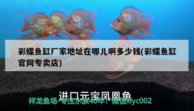 彩蝶魚缸廠家地址在哪兒啊多少錢(彩蝶魚缸官網(wǎng)專賣店)